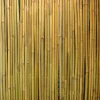 Bambuaita Home4You In Garden, 100x300cm