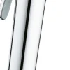 Bideesuihku Grohe Tempesta F 30 kromi