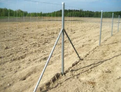 Eläinverkko Zn 1,0x50 m muuttuva silmäkoko