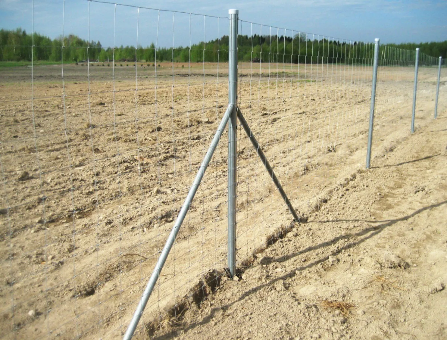Eläinverkko Zn 1,0x50 m muuttuva silmäkoko