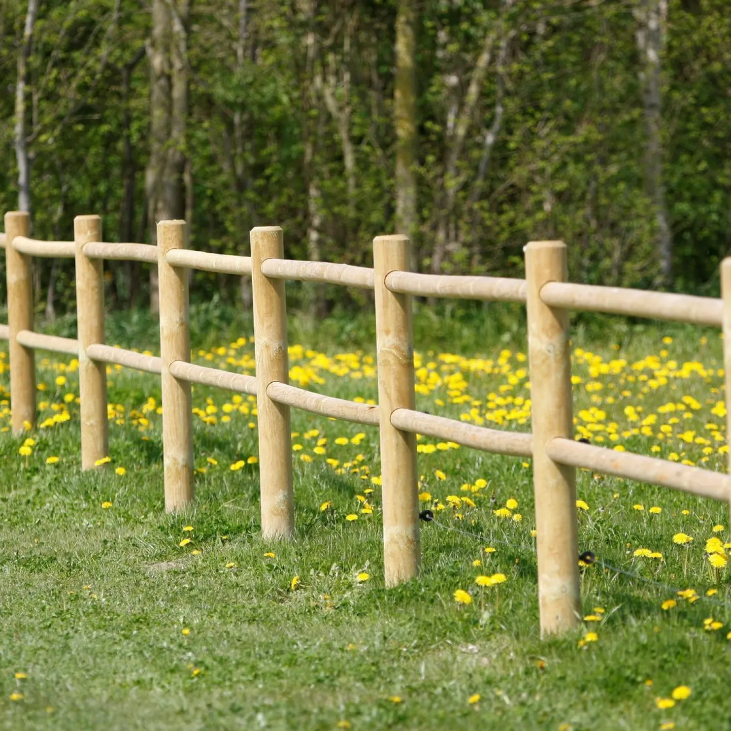 Hevosaitaus Nordic Fence, 40m, painekyllästetty