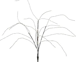 Koristeoksa Star Trading Reedy, 90cm, musta