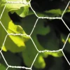 Kudottu verkko Hortus 25x200mm 30m galvanoitu