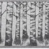 Laudeliina Jokipiin Pellava Koivikko 45x160 cm valkoinen/musta