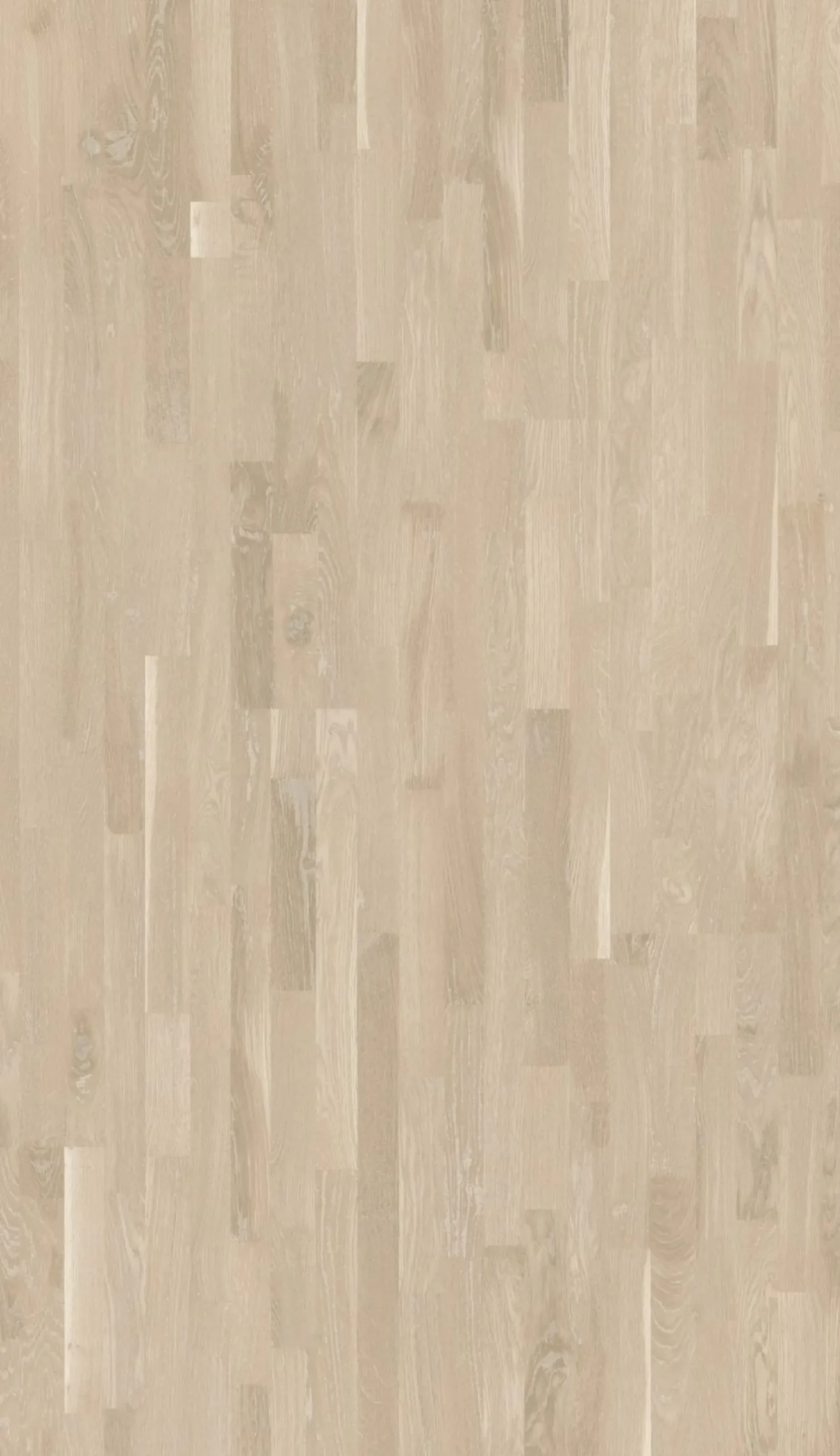 Lautaparketti Baltic Wood Tammi Ivory Creme, 3-sauva, 13,3mm, mattalakattu