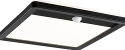 LED-paneeli ulkokäyttöön Paulmann Lamina, IP44, 25x25cm, 3000K, liiketunnistin, korroosionkestävä, eri värejä