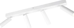 LED-spottivalaisin Trio Ambala, 4-osainen