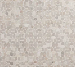 Mosaiikkilaatta Qualitystone Pentagon Mini White, 30x50mm