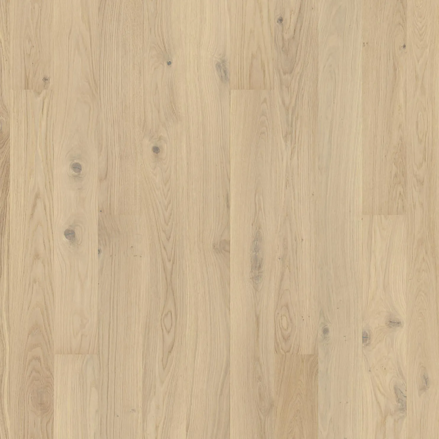 Parketti Tarkett Grace Tammi White Canvas Plank 1S, harjattu, ultramattalakattu