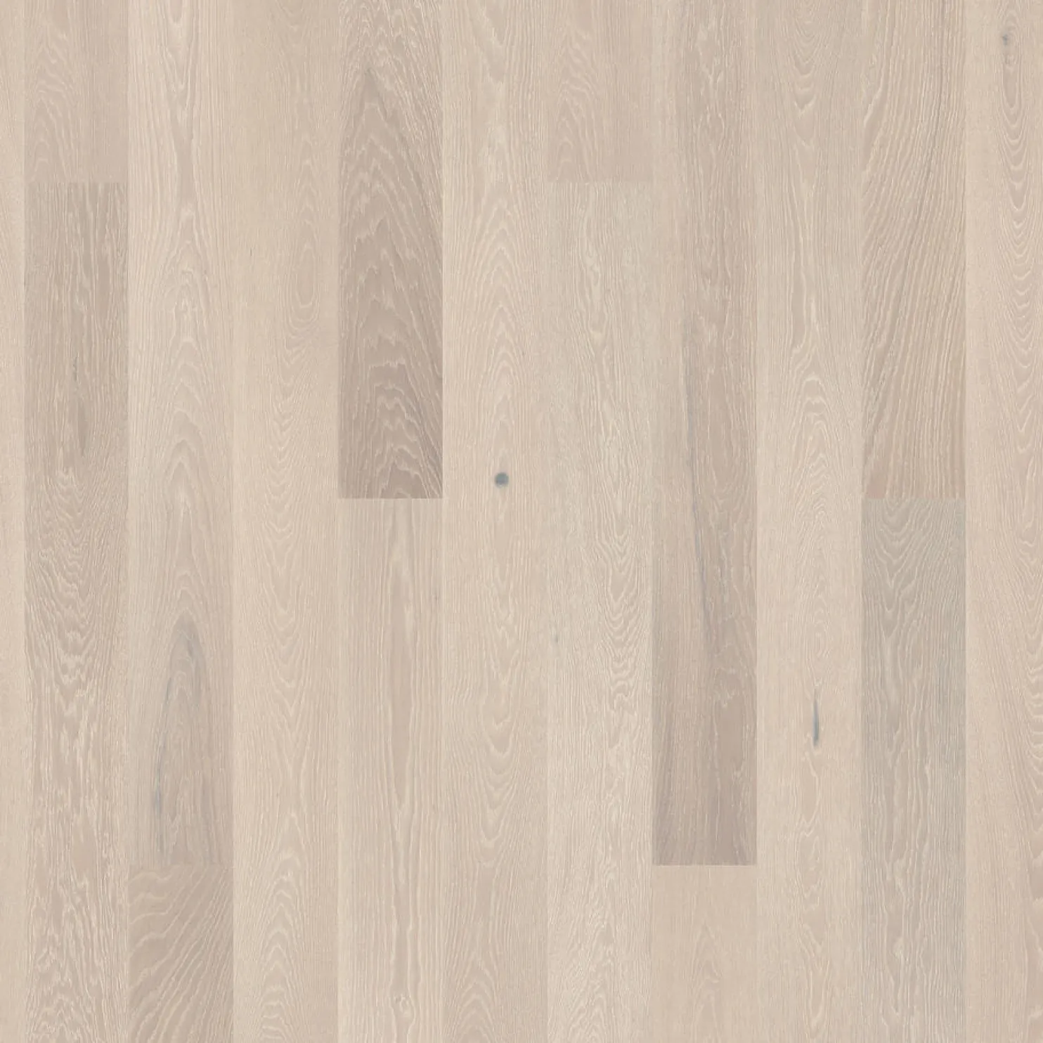 Parketti Tarkett Prestige Tammi Grey Slate 1S, luonnollinen vaalea, öljyvahattu