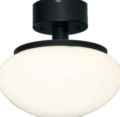 Plafondi Aneta Lighting August New, metalli/lasi, E27