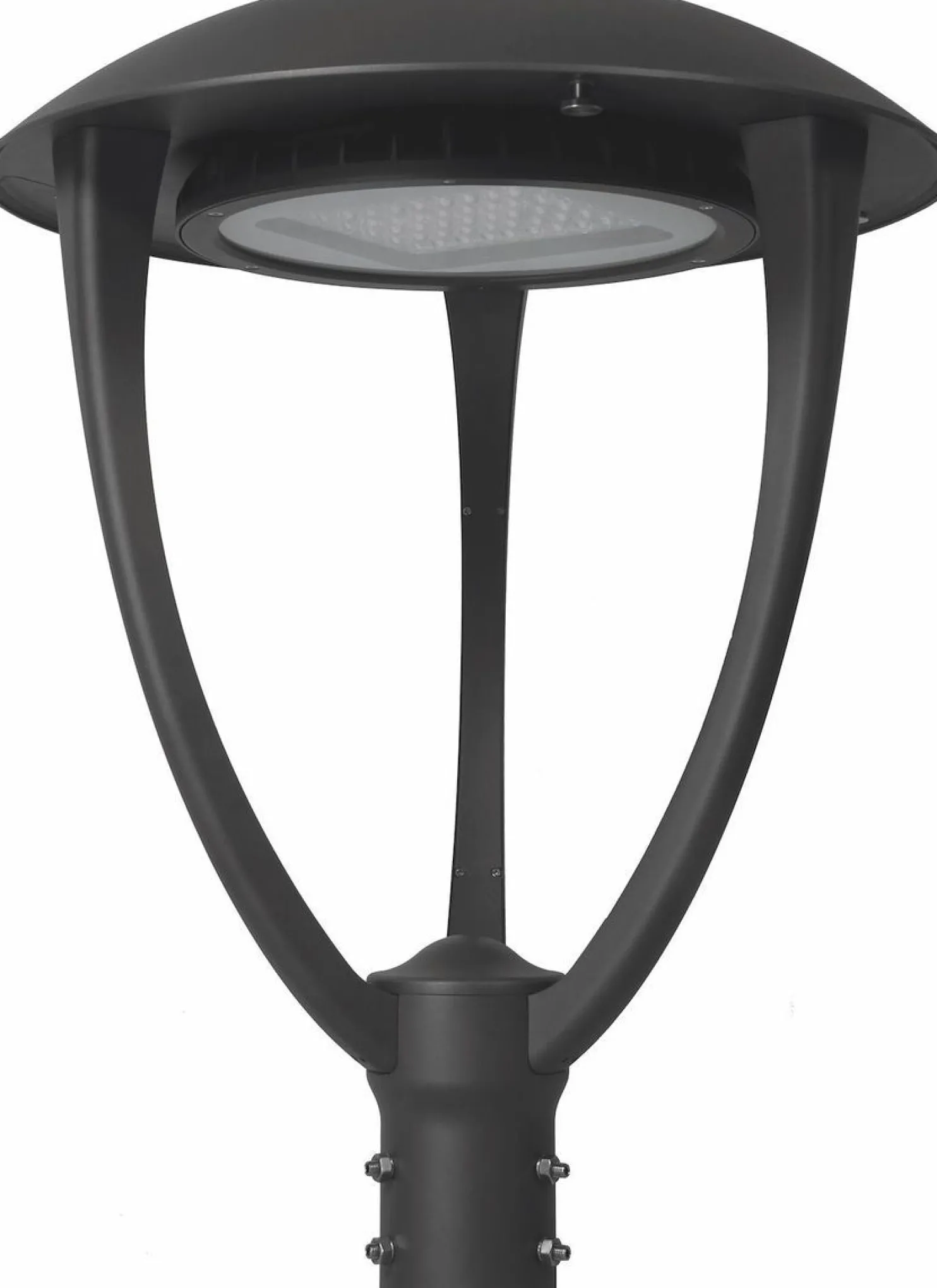 Puistovalaisin Malmbergs Sigma, 65W