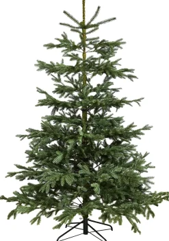 Tekojoulukuusi Nordic Winter Limited Edition 200cm